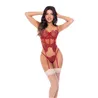 Embroidered Lace Bustier with Garter Straps and Thong Set