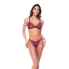 Floral Embroidered Mesh Triangle Bra and Thong Set