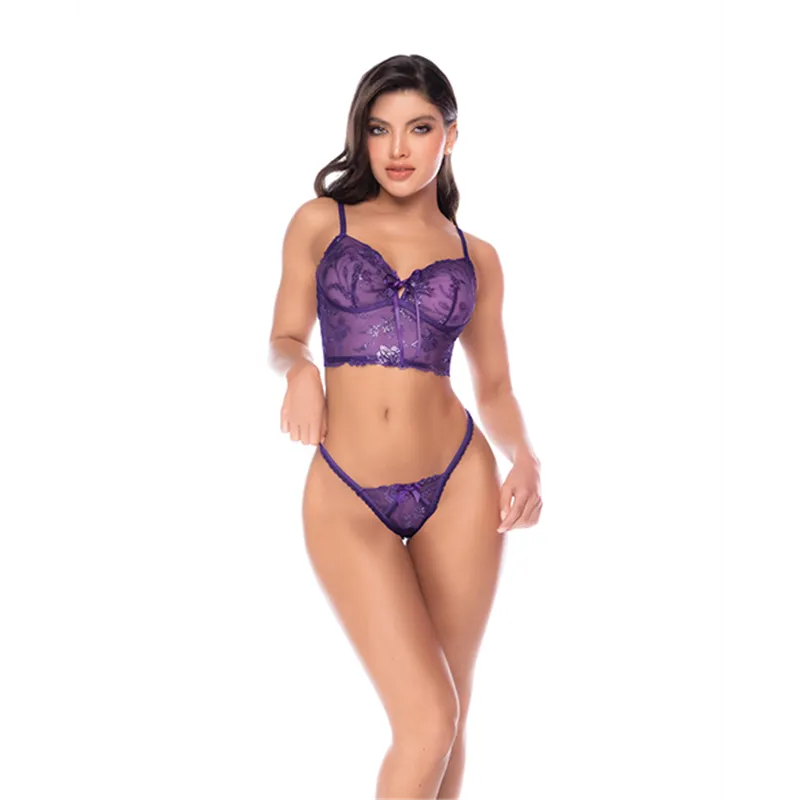Embroidered Lace Crop Top and Thong Set