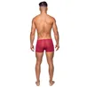 Seamless Sheer Pouch Mini Short