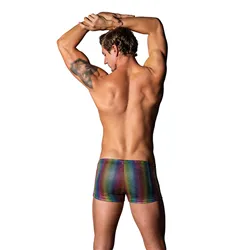 Rainbow Pocket Short with Hip Pockets