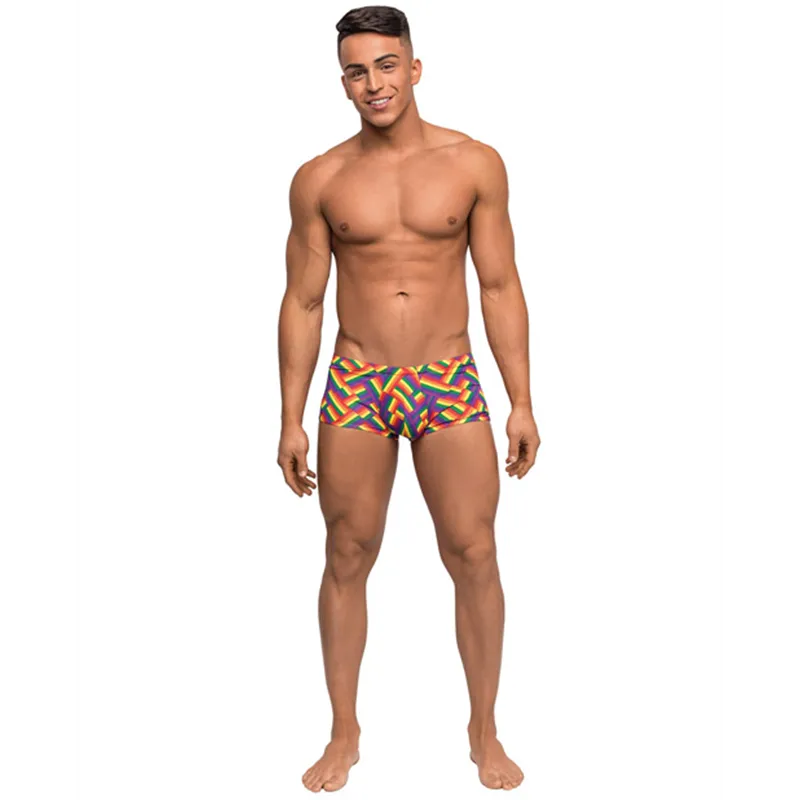 Pride Rainbow Herringbone Contoured Pouch Mini Short
