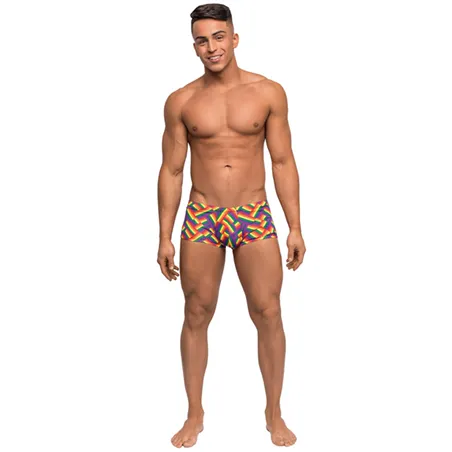Pride Rainbow Herringbone Contoured Pouch Mini Short