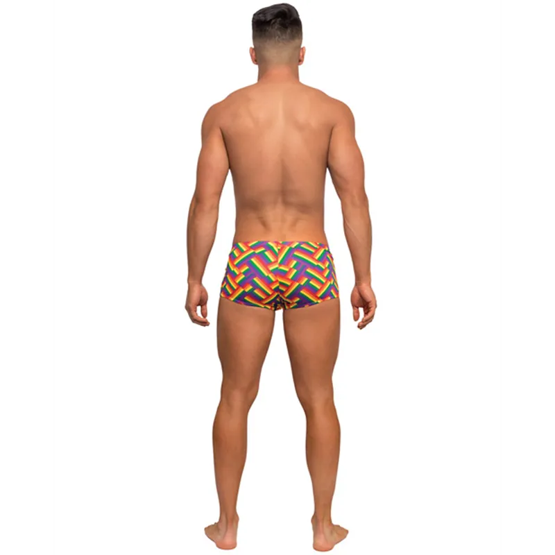 Pride Rainbow Herringbone Contoured Pouch Mini Short