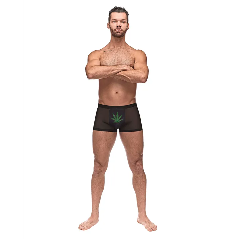 Micro Mesh Modal Pot Leaf Pouch Short