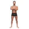 Micro Mesh Modal Pot Leaf Pouch Short