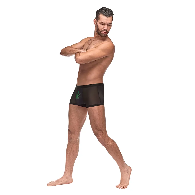 Micro Mesh Modal Pot Leaf Pouch Short