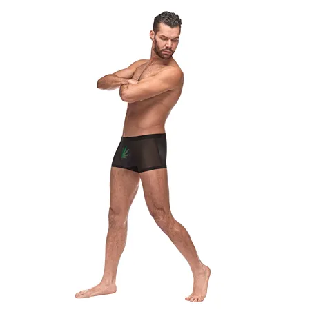 Micro Mesh Modal Pot Leaf Pouch Short