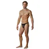 Sheer Nylon Pouch Thong