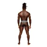 Sheer Mesh Thong with Optical Print