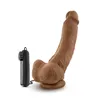 Coverboy The Boxer Vibrating Realistic Dildo with Suction Cup 9 Inch