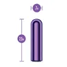 Kool Vibes Mini Rechargeable Bullet Vibrator in Purple