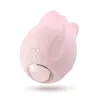 Romantic Rose Clitoral Vibrator with Interchangeable Heads