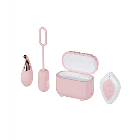 Wanderlust 4-Piece Vibrator Set with Charging Case