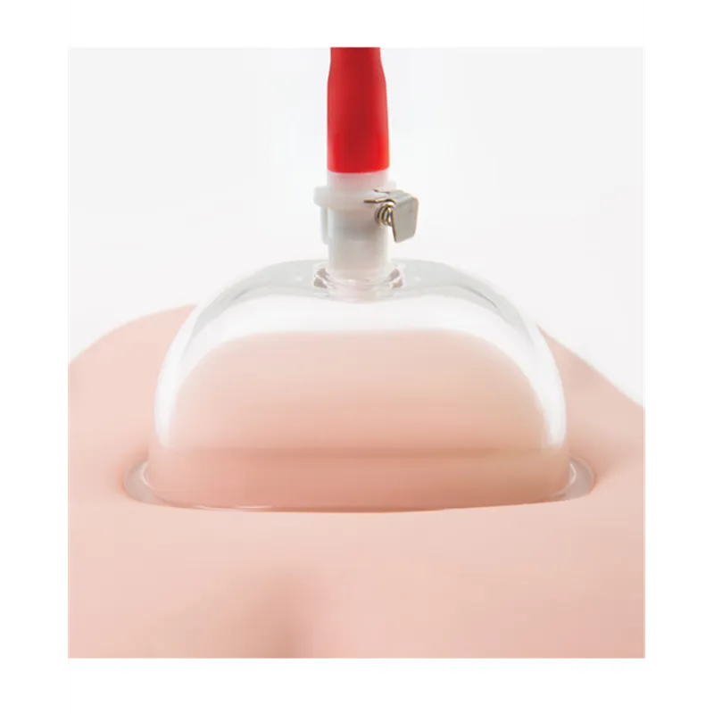 Vulva Pump System with Suction Trigger and Air Release Valve