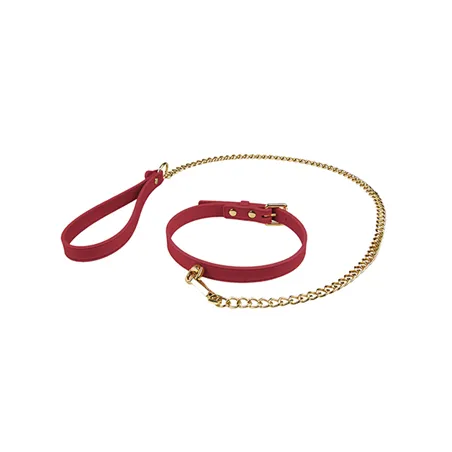 Collar and Leash Set with Wrist Loop