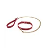 Collar and Leash Set with Wrist Loop