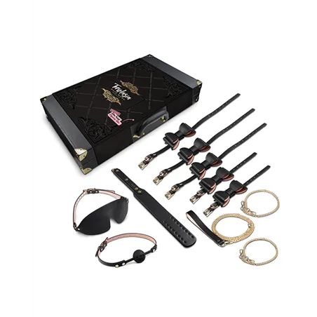 Temptasia Safe Word Bondage Kit with Locking Suitcase