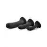 Temptasia Twist Silicone Dildo Kit with Suction Cup Base