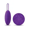 Vibrating Egg with Wireless Remote Control