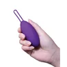 Vibrating Egg with Wireless Remote Control