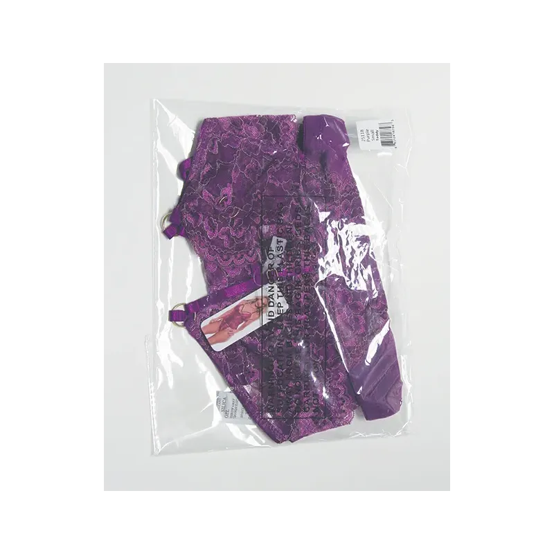 Metallic Lace and Mesh Teddy with Detachable Panty