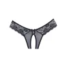 Adore Foreplay Lace & Mesh Front Open Panty