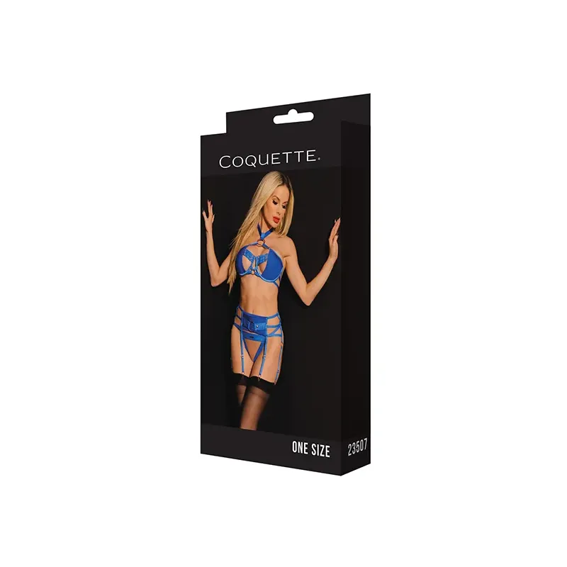 Underwire Bra Set with Choker, Garter Belt and G-String