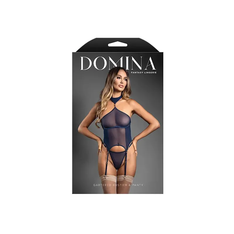 Sheer Mesh Gartered Bustier with Detachable Choker and G-String Set