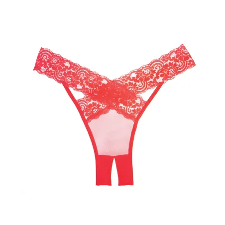 Adore Sheer & Lace Desire Panty