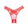 Adore Sheer & Lace Desire Panty