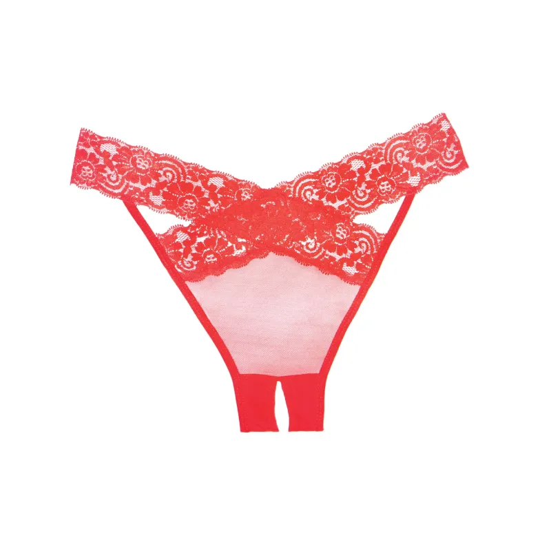 Adore Sheer & Lace Desire Panty