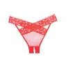 Adore Sheer & Lace Desire Panty