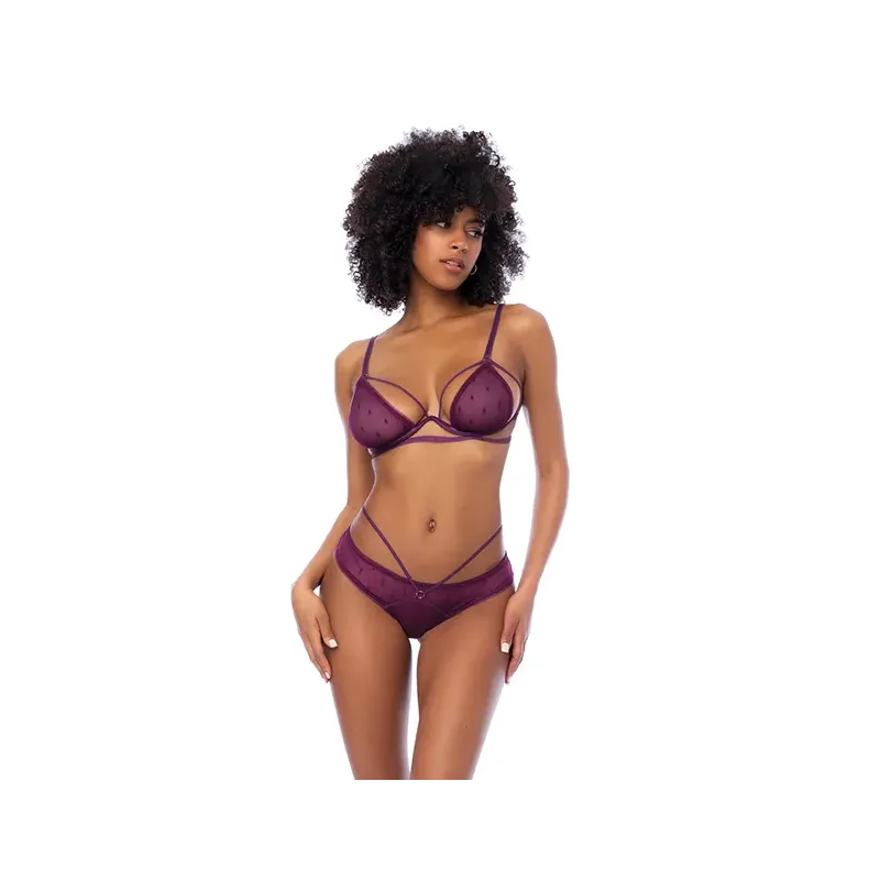 Polka Dot Mesh Underwire Top and Open Back Panty Set