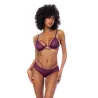 Polka Dot Mesh Underwire Top and Open Back Panty Set