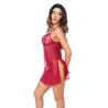 Metallic Embroidered Babydoll with Sheer Mesh Skirt