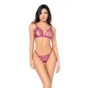Sheer Lace Triangle Top and Panty Set