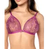 Sheer Lace Triangle Top and Panty Set