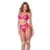 Sheer Lace Bralette, Thong and Garter Belt 3-Piece Set