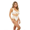 Sadie Lace Underwire Bra and High-Waist Panty Set