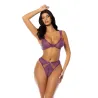 Lace and Mesh Underwire Bra with Thong Set