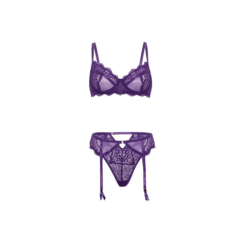 Margo Lace and Mesh Underwire Bra with Gartered Panty Set