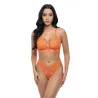 Amina Scallop Lace and Mesh Bralette with Panty Set