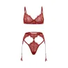 Arielle Lace Unlined Underwire Set with Ring Detail