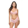 Leyla Lace and Mesh Underwire Bra Set