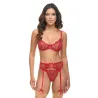 Mariah Embroidered Mesh Underwire Bra, Garter and G-String Set