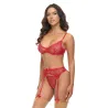Mariah Embroidered Mesh Underwire Bra, Garter and G-String Set