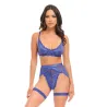 Delphi Lace Two-Piece Set with Attached Garter