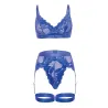 Delphi Lace Two-Piece Set with Attached Garter