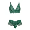 Alessia Soft Cup Lace and Mesh Bra and G-String Set with Ruffle Details